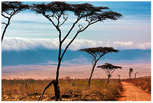 Ngorongoro